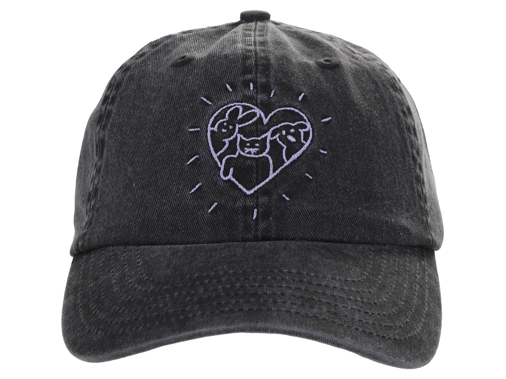Pinkpop Cap Washed grey